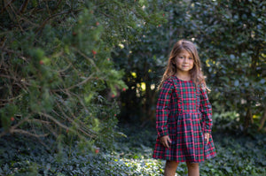 Toddler in plaid long sleeve ruffle dress